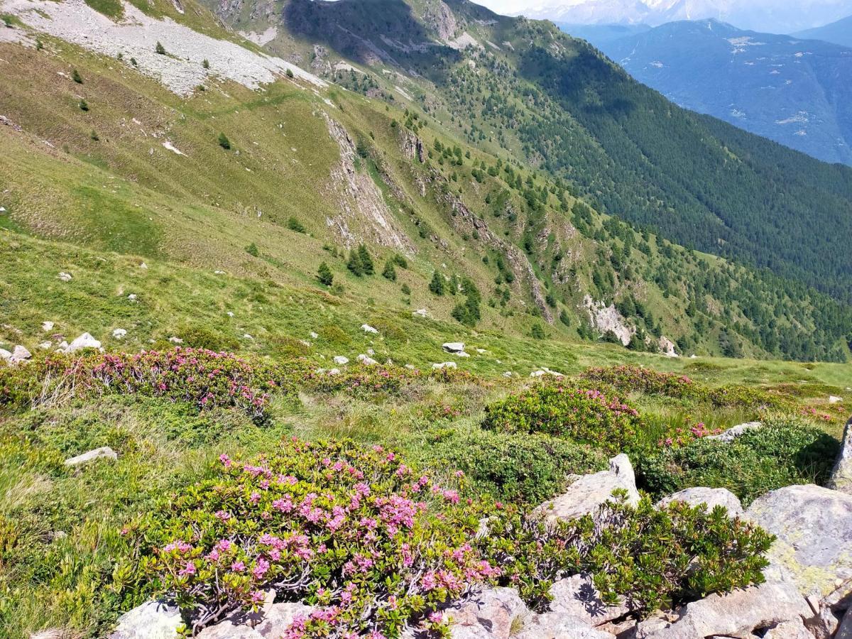 casa vacanza da ghislin Teglio Esterno foto