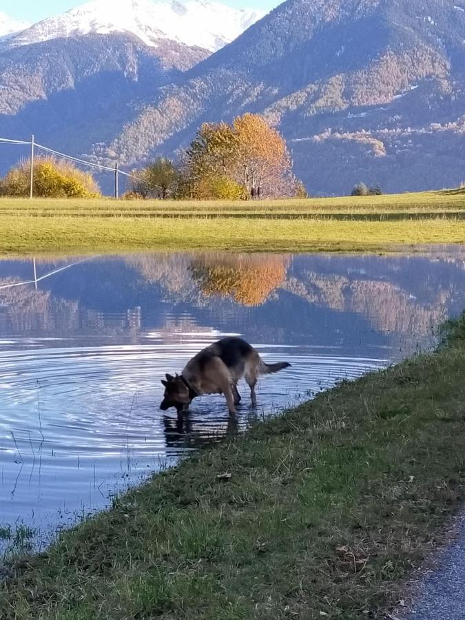 casa vacanza da ghislin Teglio Esterno foto