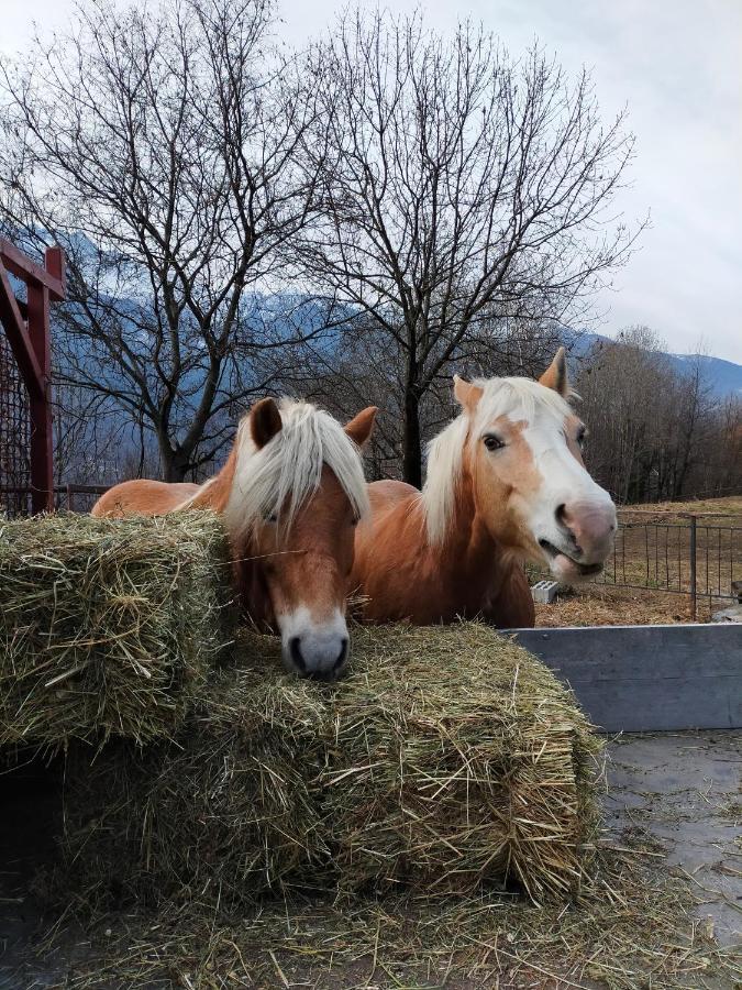 casa vacanza da ghislin Teglio Esterno foto